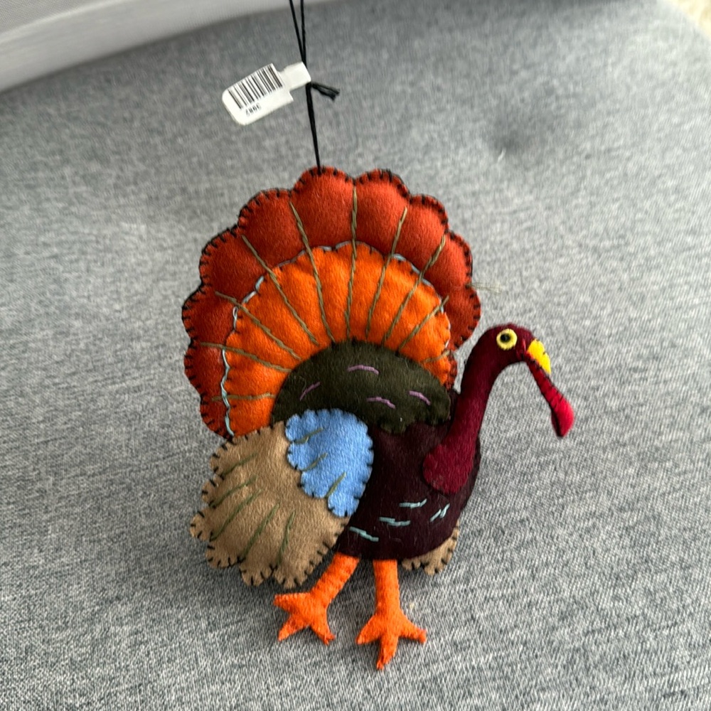 Turkey 🦃 ornament